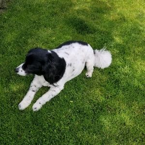 Meet your Posher, Donna